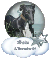 Klick zu den Erinnerungen an Balu
