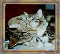 Feli hat Mumpitz fest im Griff