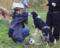 Chinesisch für Hunde