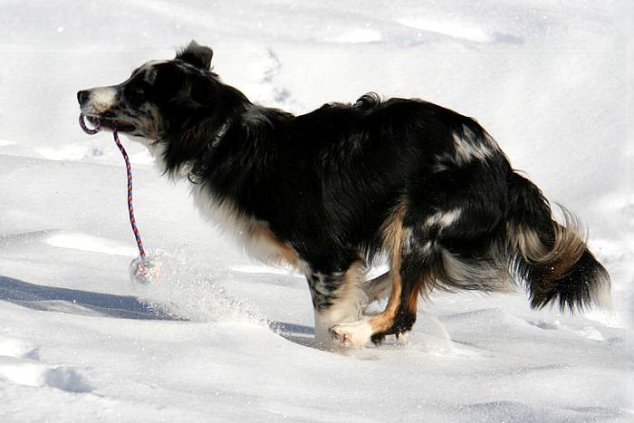 engelberg118.jpg - ...herrlich spielen.
