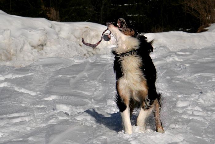 engelberg128.jpg - ...gleich hab ich dich...