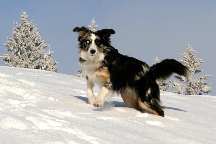 engelberg5.jpg - Und los geht's
