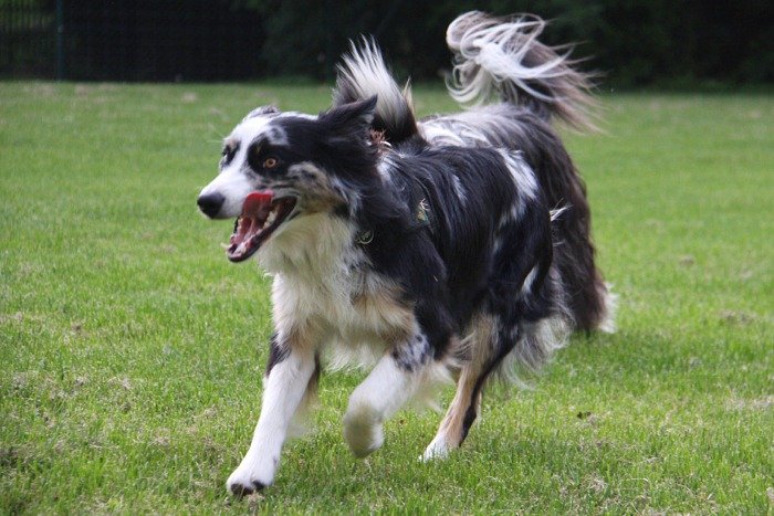 neela015.jpg