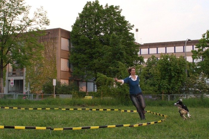 1.5.09_longieren004.jpg
