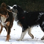 043_waldhaus